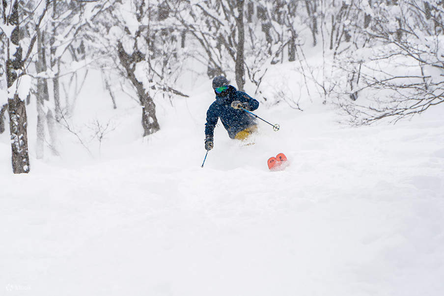kỹ năng trượt tuyết